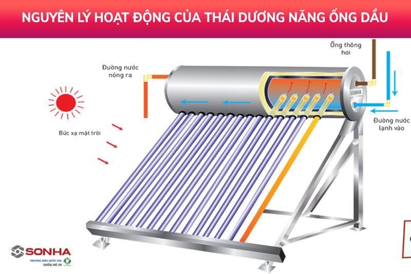 Nguyên lý hoạt động của máy nước nóng NLMT Thái Dương Năng